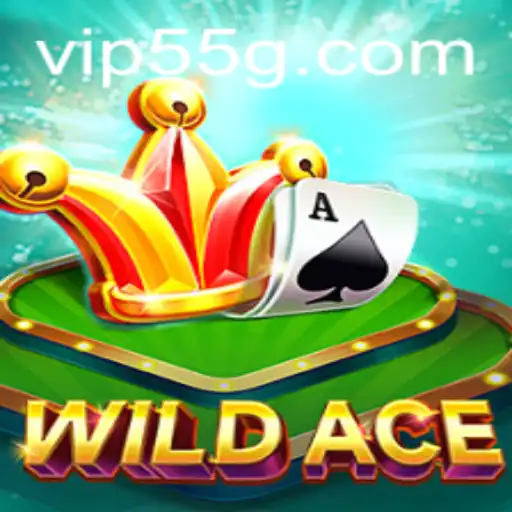 Discovering WildAce: A New Era in Gaming with the 55G Revolution